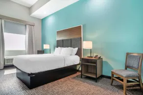 Comfort Inn Miramar Beach-Destin - Room