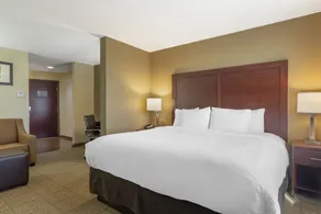 Comfort Suites Locust Grove Atlanta South - Chambre