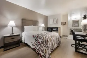 Red Roof Inn Birmingham South - Chambre