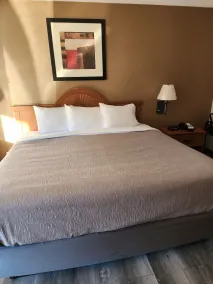 Quality Inn Middleburg Heights near Cleveland Airport - Chambre