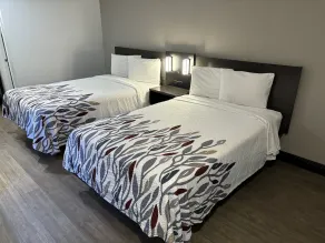 Red Roof Inn Wildwood, FL - The Villages - Chambre