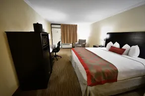Ramada by Wyndham Jacksonville Hotel & Conference Center - Vue de la chambre