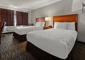 Park Inn by Radisson, Detroit Metro Airport - Værelse