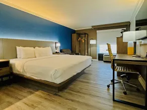 Comfort Inn & Suites Houston I-10 West Energy Corridor - Room