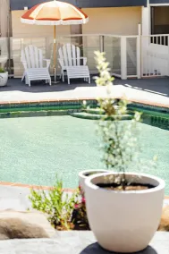 The Black Dolphin Motel - Pool