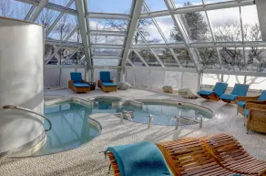 Wild Pheasant Hotel & Spa - Piscina