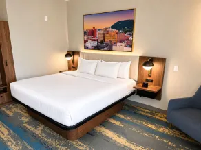 La Quinta Inn & Suites by Wyndham Roanoke Hollins/I-81 - Værelse