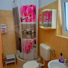 Pretty Apartment With Terrace on Island Rab - Bathroom