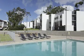 Griffith University Village - Piscine