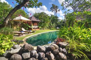 Villa Plawa Asri - Pool