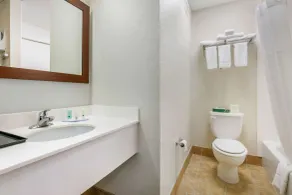 Quality Inn Monteagle - Bathroom