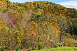 Hike, Ski & More: Blue Ridge Mountain Escape - Interni