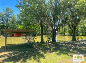 Harmon Creek Marina and Campground - Kayaking