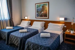 Hotel Glis - Room