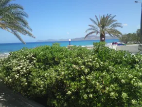 Hotel Petras Beach - Vistas desde la habitación