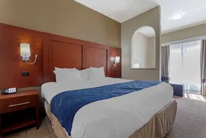 Comfort Suites Gainesville - Chambre