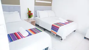 Hotel Playa Divina - Room