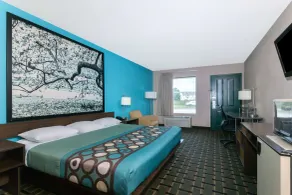 Super 8 by Wyndham Brunswick South I-95 - Chambre