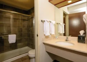 Holiday Inn West Yellowstone by IHG - Salle de bain