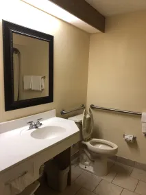 Econo Lodge London North - Salle de bain