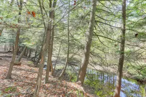 8 Private Acres: Little Mahoning Creek Cabin! - Interior