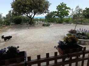 Polignano ai due capperi - Udsigt fra værelset