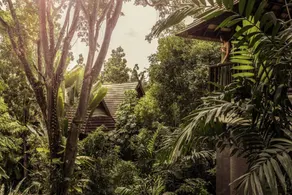 Four Seasons Resort Chiang Mai - View from room