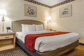 Comfort Inn Palo Alto - Chambre