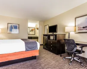 Quality Inn Mt Pleasant - Charleston - Chambre