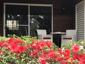 Forest Lodge Resort - Habitación