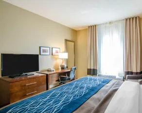 Comfort Inn & Suites Lynchburg Airport - University Area - Chambre
