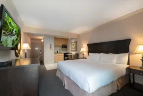 Prestige Inn Nelson - Room