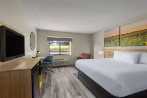 Days Inn & Suites by Wyndham Kansas City South - Chambre