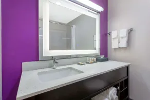 La Quinta by Wyndham Tampa Bay Area-Tampa South - Bathroom