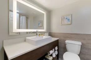 Best Western Plus McAllen Airport Hotel - Salle de bain