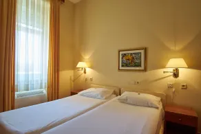 Hotel Vila Ružica- glavna zgrada i depandanse - Chambre