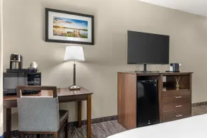 Best Western Plus Lake Dallas Inn & Suites - Room