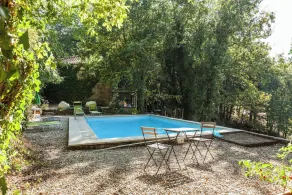Forest House casinha do Carvalhal - Piscina