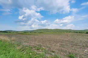 On 22 Acres! Retreat w/ Views in Burlington Flats - Innvendig