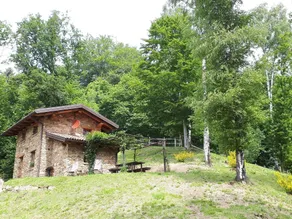 Agriturismo l'Arbo - Camera