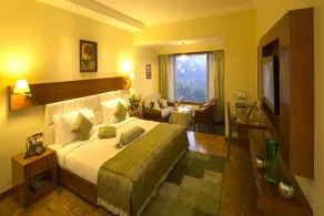 Gem Park Ooty - View from room