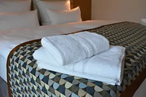 Walhalla Zen Hotel Regensburg - Room