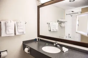 Wyndham Edmonton Hotel and Conference Centre - Salle de bain