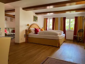 Hotel Hirschen - Room