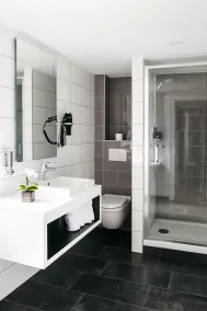 Logis Hôtel Restaurant Au Lion Rouge - Salle de bain
