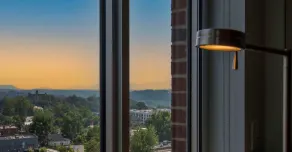 DoubleTree by Hilton Asheville Downtown - Vistas desde la habitación