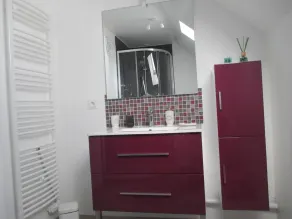 Studio Climatisé & Appartement Zen de Beauval- 800 m du Zooparc - Bathroom