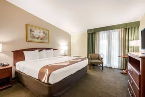 Quality Inn & Suites Tarpon Springs South - Chambre