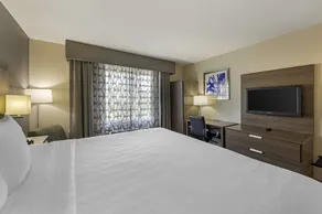 Best Western Plus Nashville Airport Hotel - BNA - Chambre