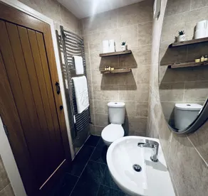 The Red Lion - Baño